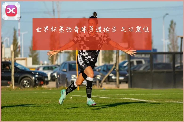 世界杯墨西哥球员遭枪杀 足坛震惊